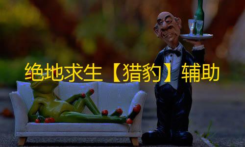 绝地求生【猎豹】辅助