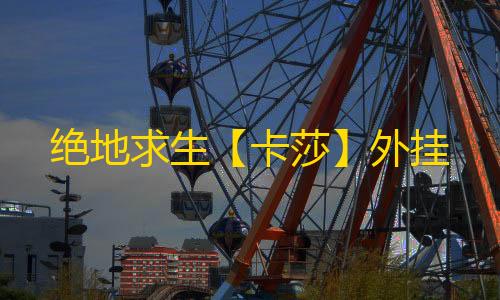 绝地求生【卡莎】外挂