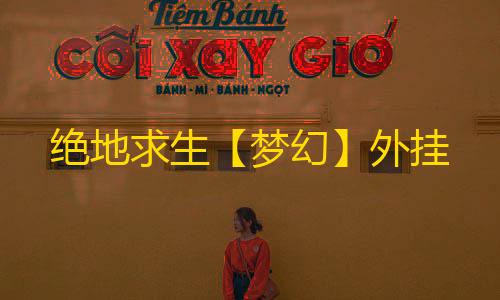 绝地求生【梦幻】外挂