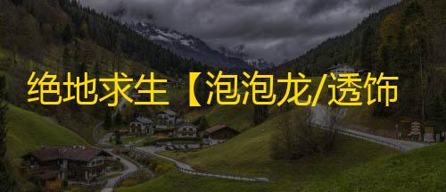绝地求生【泡泡龙/透饰/子弹追踪/人物加速/过玄武磐石/物资/雷达】辅助