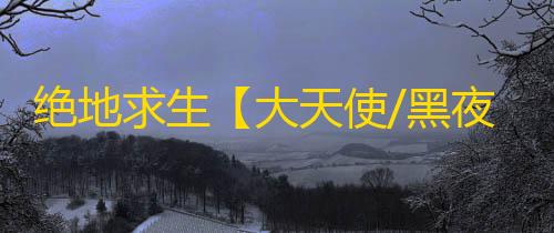 绝地求生【大天使/黑夜】辅助