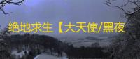 绝地求生【大天使/黑夜】辅助