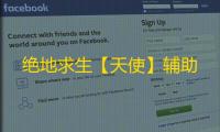绝地求生【天使】辅助