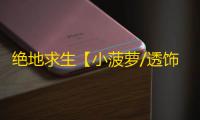 绝地求生【小菠萝/透饰/梓喵/物资/雷达】辅助