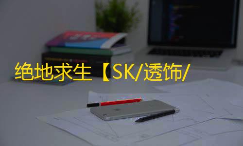绝地求生【SK/透饰/梓喵/物资/雷达】辅助