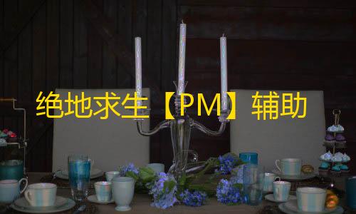 绝地求生【PM】辅助